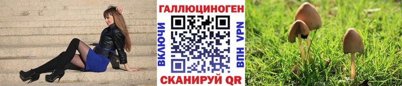 Купить  Лабинск  Псилоцибиновые грибы прущие грибы 